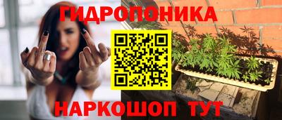 прущие крисы Заводоуковск