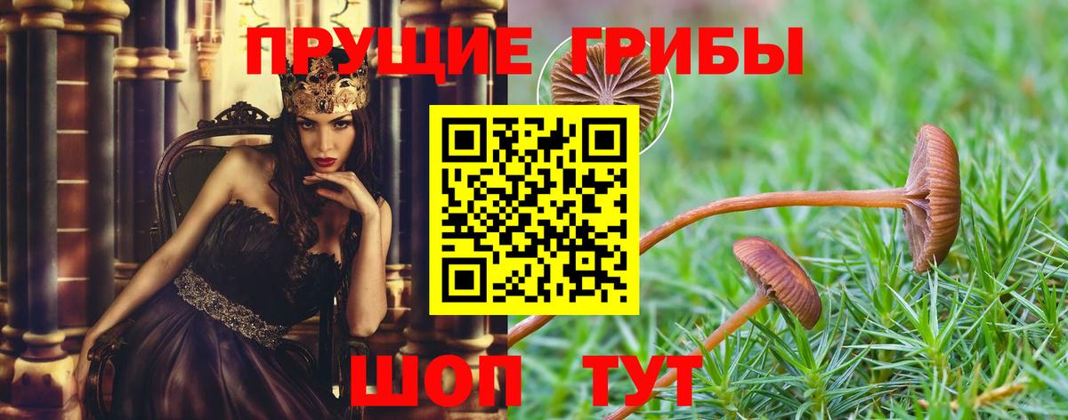 Галлюциногенные грибы GOLDEN TEACHER  Вход с VPN  Лангепас 